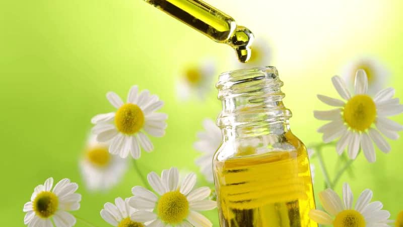 what-is-chamomile-extract