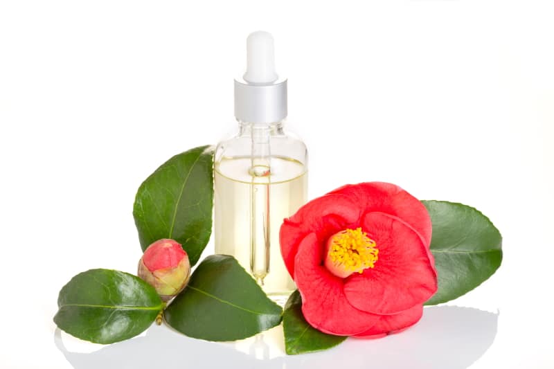 Colour Me Bronze Professional Camellia Extract Colour Me Bronze Professional Camellia Extract